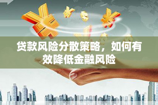 普格贷款风险分散策略，如何有效降低金融风险