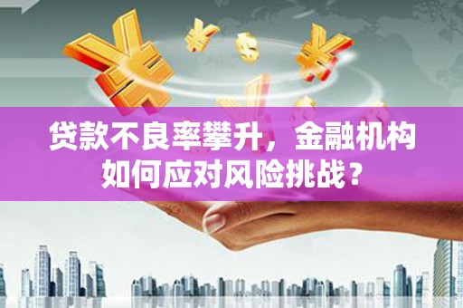 普格贷款不良率攀升，金融机构如何应对风险挑战？