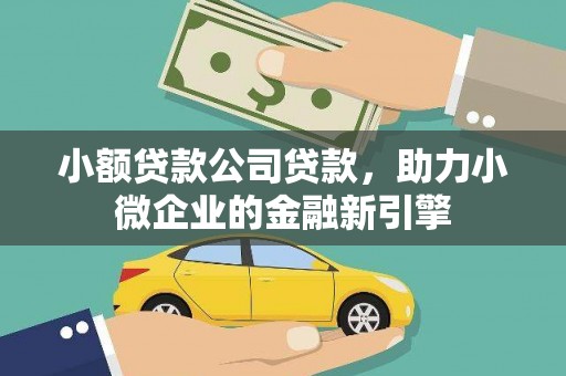 普格小额贷款公司贷款，助力小微企业的金融新引擎