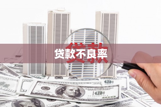 普格贷款不良率