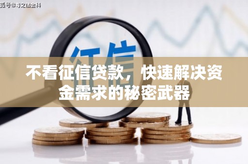 普格不看征信贷款，快速解决资金需求的秘密武器