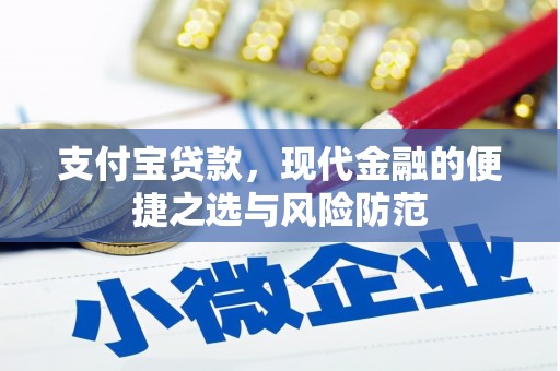普格支付宝贷款，现代金融的便捷之选与风险防范