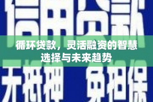 普格循环贷款，灵活融资的智慧选择与未来趋势
