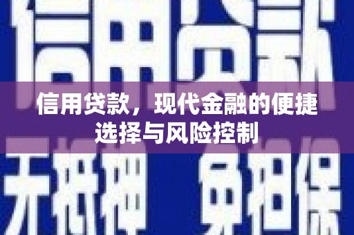 普格信用贷款，现代金融的便捷选择与风险控制