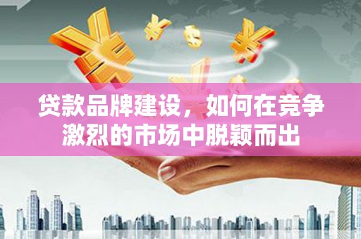 普格贷款品牌建设，如何在竞争激烈的市场中脱颖而出
