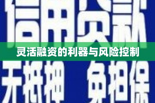 普格灵活融资的利器与风险控制
