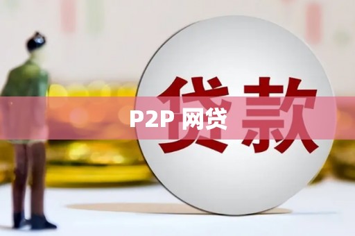 普格P2P 网贷