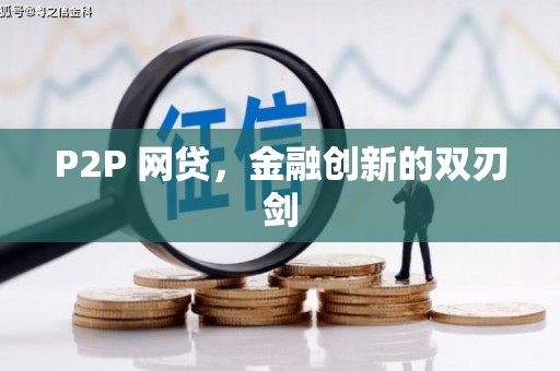 普格P2P 网贷，金融创新的双刃剑