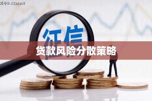 普格贷款风险分散策略
