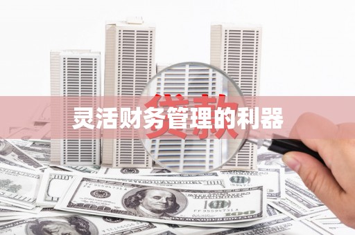 普格灵活财务管理的利器
