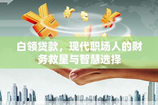 普格白领贷款，现代职场人的财务救星与智慧选择