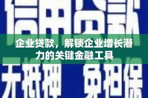 普格企业贷款，解锁企业增长潜力的关键金融工具