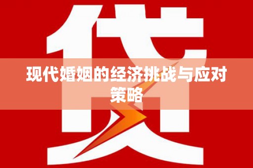 普格现代婚姻的经济挑战与应对策略