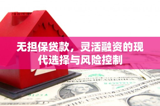 普格无担保贷款，灵活融资的现代选择与风险控制