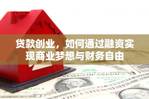 普格贷款创业，如何通过融资实现商业梦想与财务自由