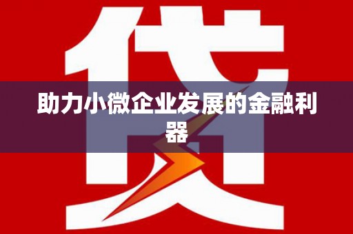 普格助力小微企业发展的金融利器