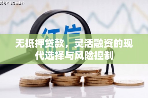 普格无抵押贷款，灵活融资的现代选择与风险控制