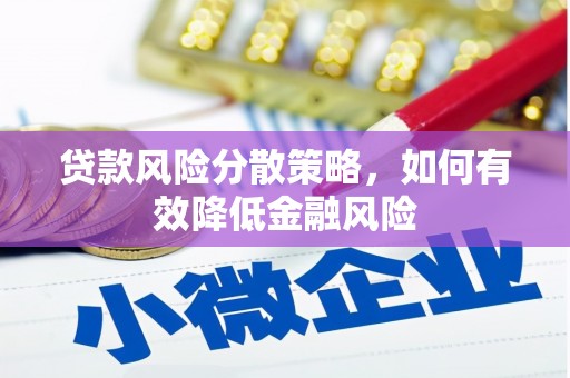 普格贷款风险分散策略，如何有效降低金融风险