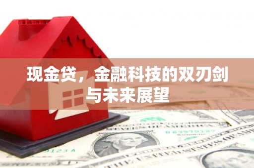 普格现金贷，金融科技的双刃剑与未来展望