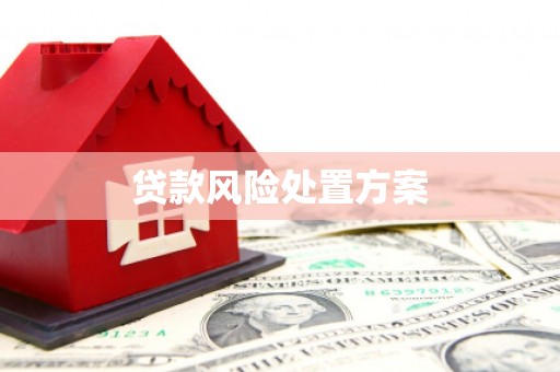 普格贷款风险处置方案
