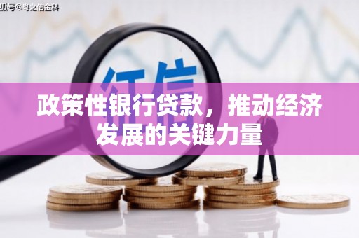普格政策性银行贷款，推动经济发展的关键力量