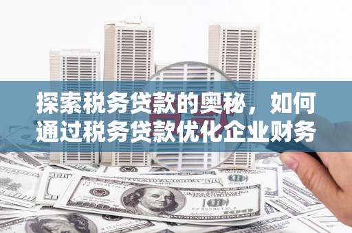 普格探索税务贷款的奥秘，如何通过税务贷款优化企业财务