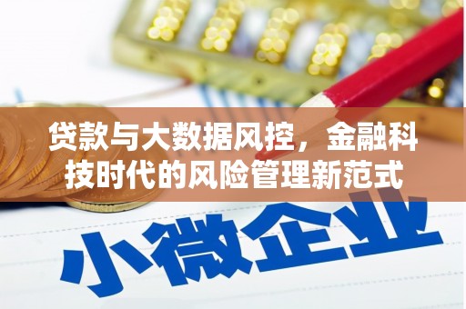 普格贷款与大数据风控，金融科技时代的风险管理新范式
