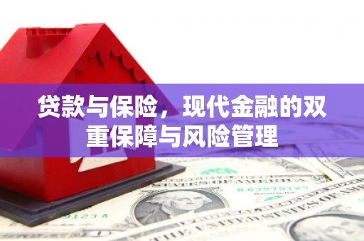 普格贷款与保险，现代金融的双重保障与风险管理