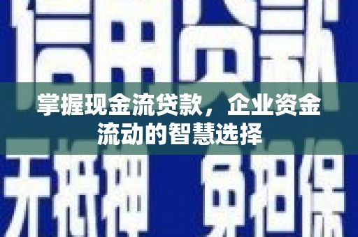 普格掌握现金流贷款，企业资金流动的智慧选择