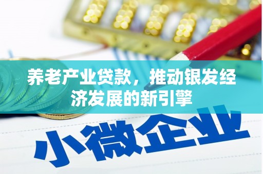 普格养老产业贷款，推动银发经济发展的新引擎