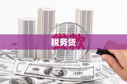 普格税务贷
