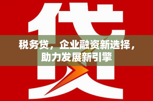 普格税务贷，企业融资新选择，助力发展新引擎