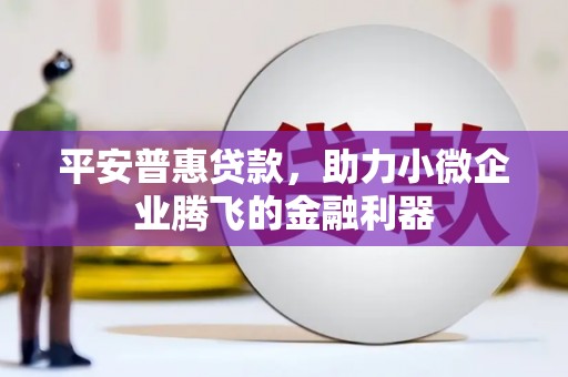 普格平安普惠贷款，助力小微企业腾飞的金融利器