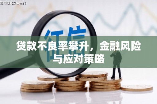 普格贷款不良率攀升，金融风险与应对策略