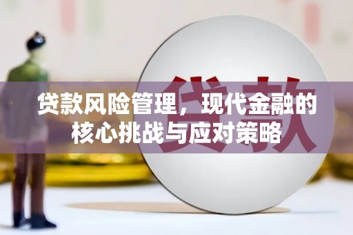 普格贷款风险管理，现代金融的核心挑战与应对策略