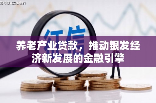 普格养老产业贷款，推动银发经济新发展的金融引擎