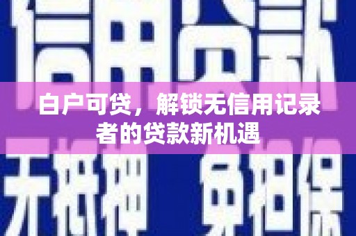 普格白户可贷，解锁无信用记录者的贷款新机遇
