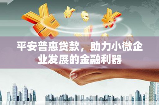 普格平安普惠贷款，助力小微企业发展的金融利器
