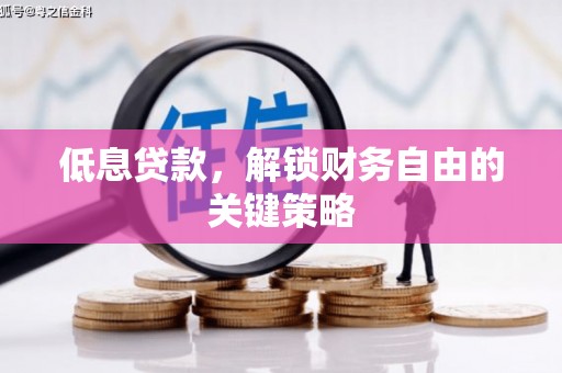 普格低息贷款，解锁财务自由的关键策略
