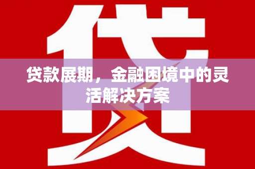 普格贷款展期，金融困境中的灵活解决方案