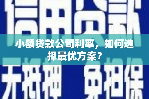 普格小额贷款公司利率，如何选择最优方案？