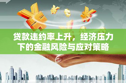 普格贷款违约率上升，经济压力下的金融风险与应对策略