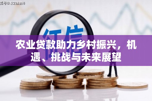 普格农业贷款助力乡村振兴，机遇、挑战与未来展望
