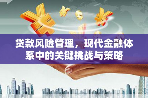 普格贷款风险管理，现代金融体系中的关键挑战与策略