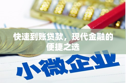 普格快速到账贷款，现代金融的便捷之选