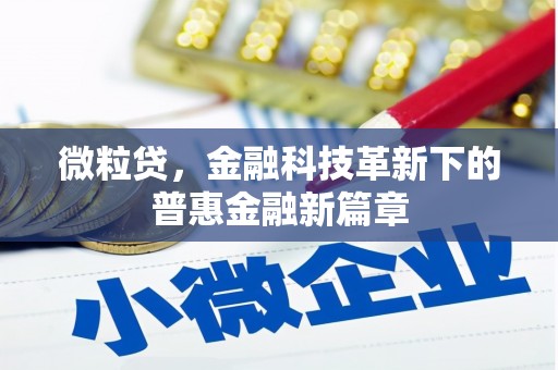 普格微粒贷，金融科技革新下的普惠金融新篇章