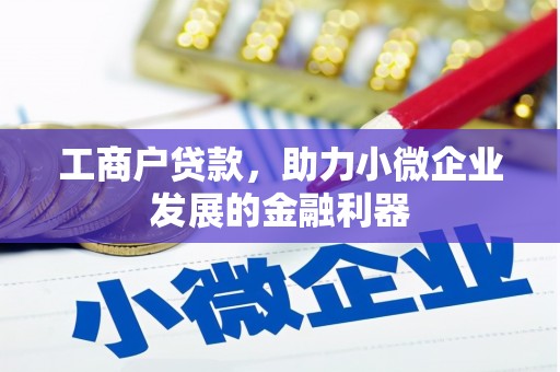 普格工商户贷款，助力小微企业发展的金融利器