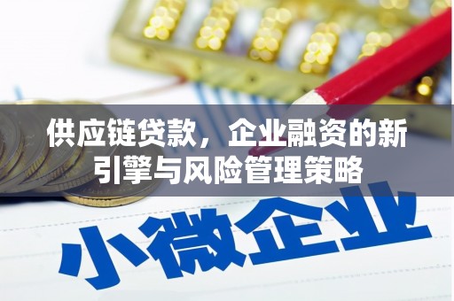 普格供应链贷款，企业融资的新引擎与风险管理策略