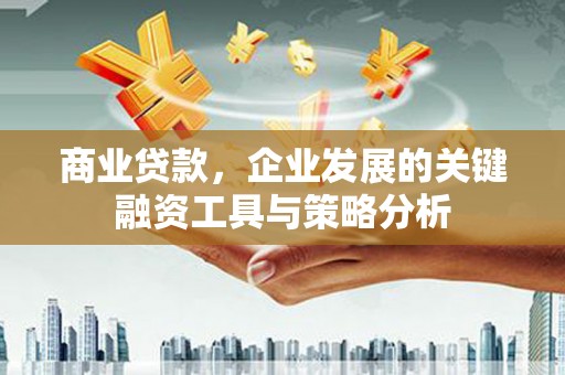 普格商业贷款，企业发展的关键融资工具与策略分析