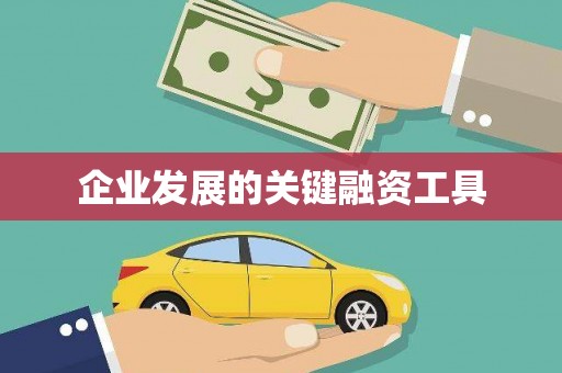 普格企业发展的关键融资工具